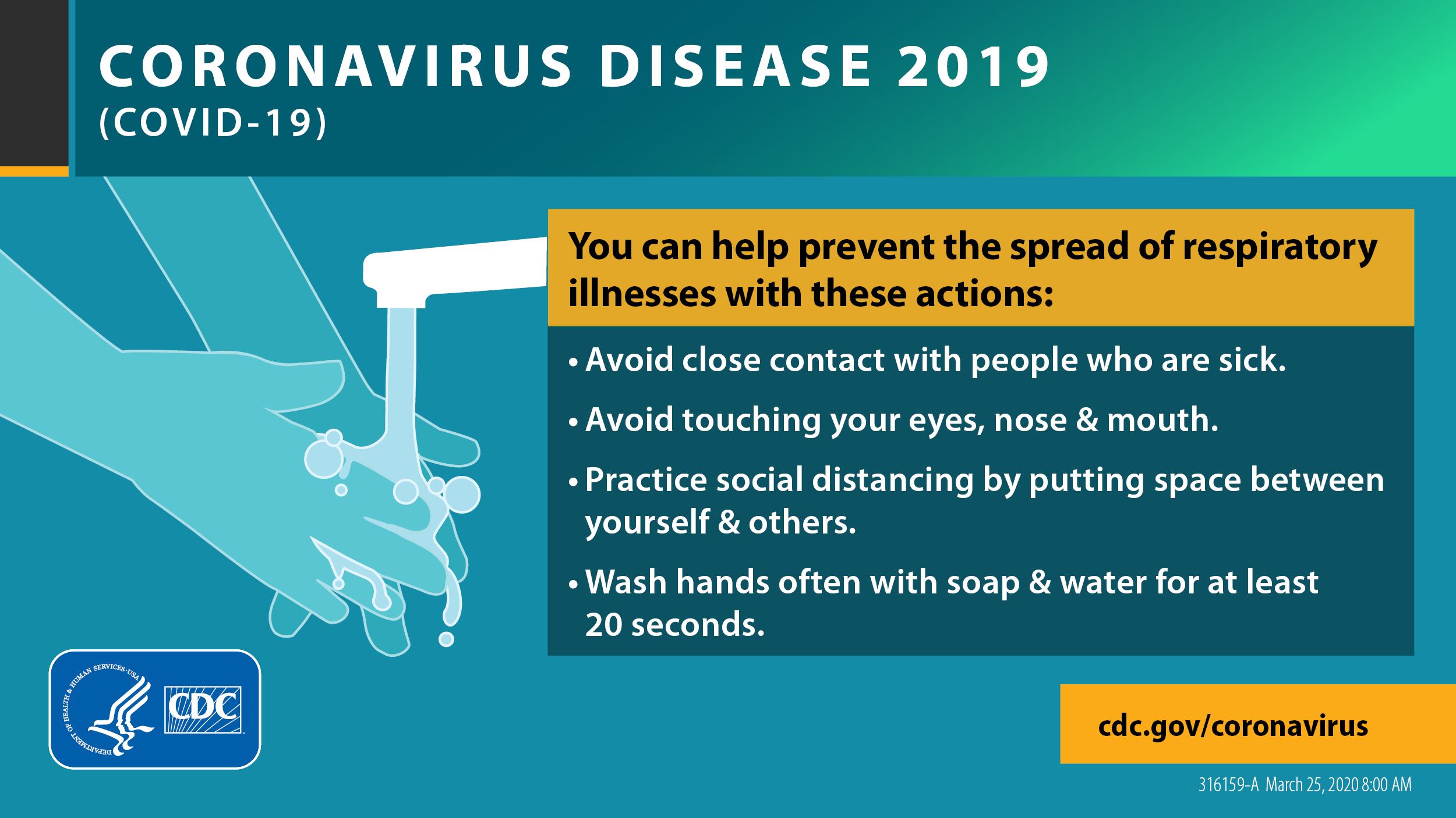 CDC image of person washing hands. Includes facts on preventing the spread of respiratory illnesses. 