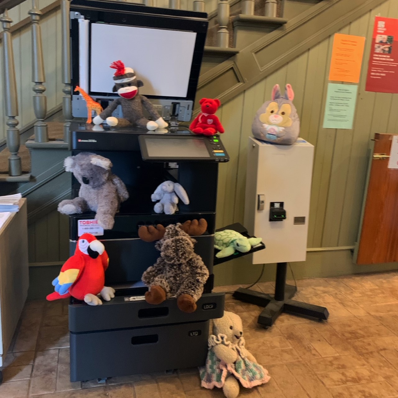 Pioneer Memorial Library Library Photos